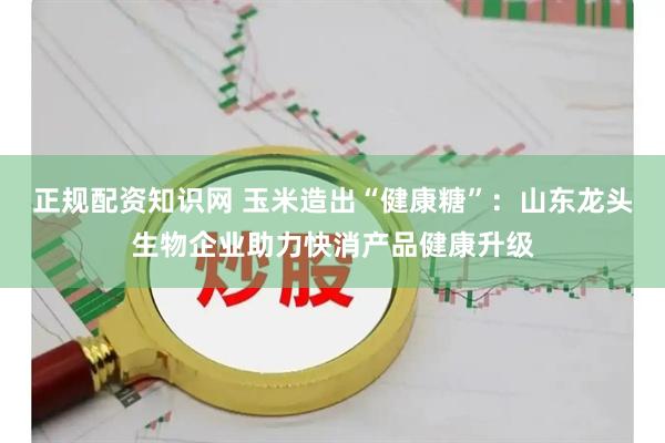 正规配资知识网 玉米造出“健康糖”：山东龙头生物企业助力快消产品健康升级