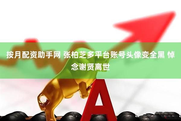 按月配资助手网 张柏芝多平台账号头像变全黑 悼念谢贤离世